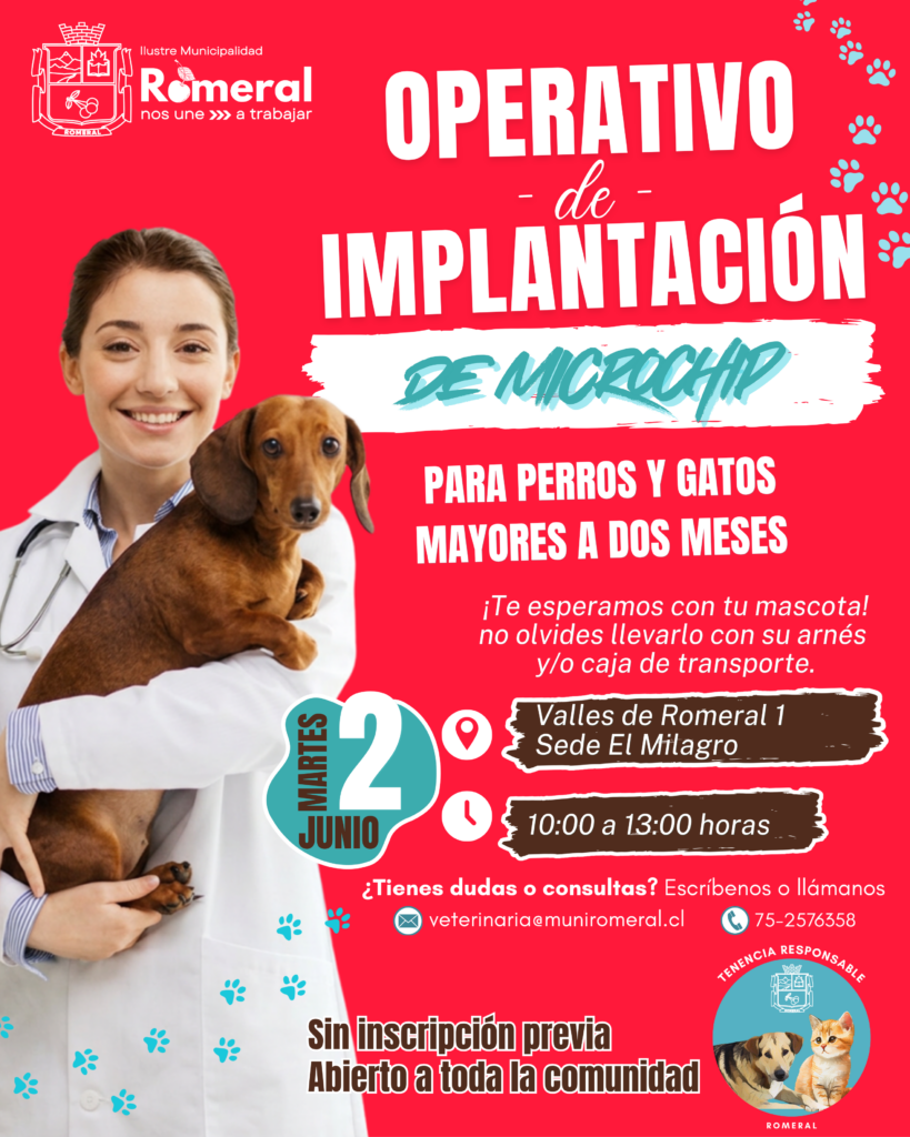 Municipalidad de Romeral realizará operativo gratuito de implantación de microchip para mascotas 2 IMG 1467