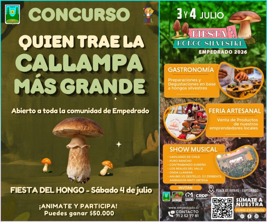 Empedrado apuesta por la gastronomía y las tradiciones en una nueva edición de la Fiesta del Hongo Silvestre 2 WhatsApp Image 2026 06 23 at 13.37.34